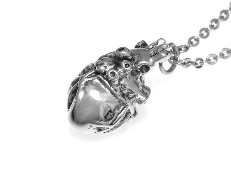 Op de afbeelding: Een zilveren anatomisch hart hanger ketting. Het hart is gedetailleerd met aderen en kamers. De ketting is van zilver.