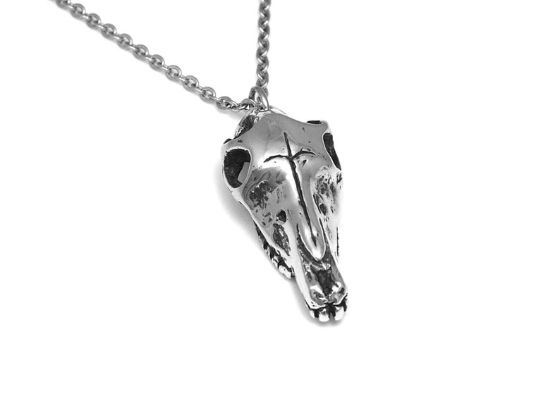 May include: A silver necklace with a detailed skull pendant. The pendant is a realistic depiction of an animal skull, with a textured surface and visible teeth.