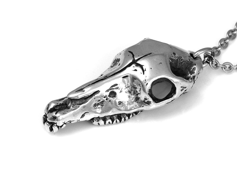 May include: A silver pendant necklace featuring a detailed skull of a horse. The pendant is attached to a silver chain.
