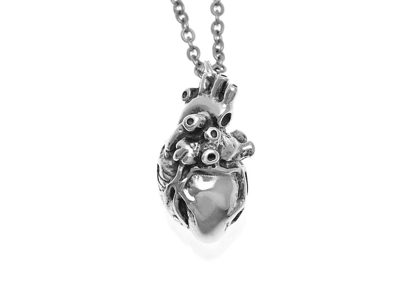 Sterling Silver Anatomical Heart Necklace Anatomically - Anatomically Correct Heart Pendant Sterling Silver Anatomical Heart Necklace Anatomically - Anatomically Correct Heart Pendant