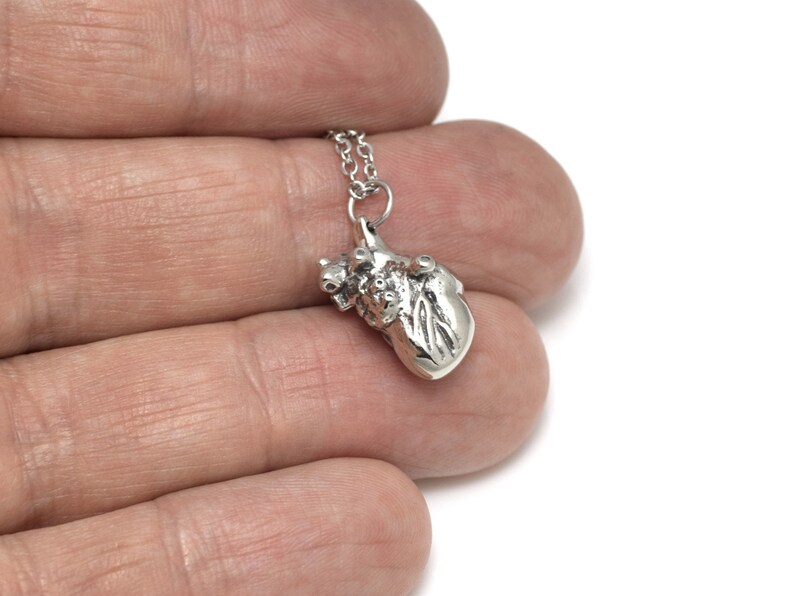 Small Anatomical Heart Necklace Cardiology Charm Anatomy Etsy