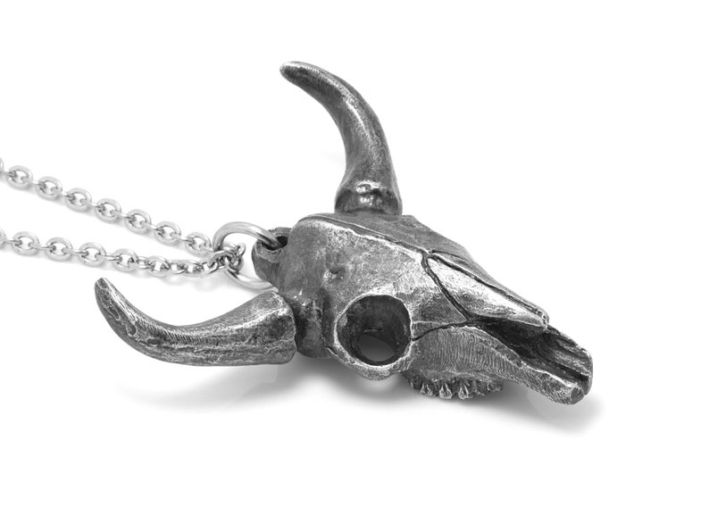 May include: A silver necklace with a detailed pewter bull skull pendant. The pendant has a textured surface and realistic features.