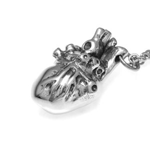 Op de afbeelding: Een zilveren ketting met een anatomisch hart als hanger. Het hart is gedetailleerd en realistisch, met zichtbare kamers en vaten. De ketting is gemaakt van een zilveren ketting.