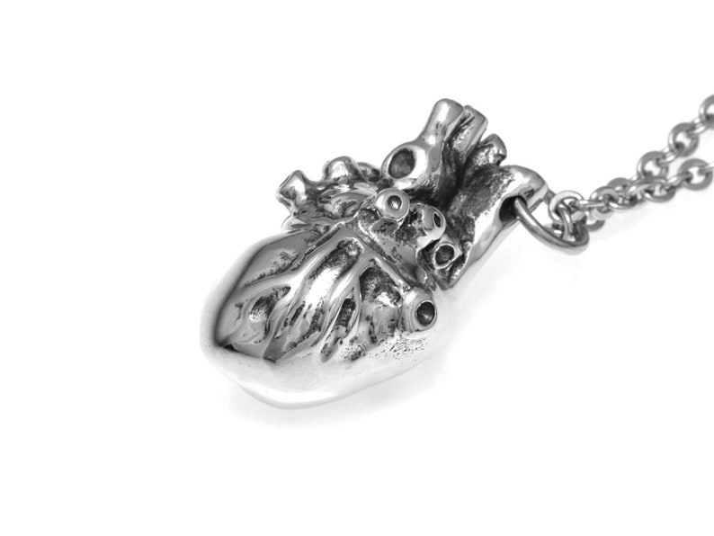 Op de afbeelding: Een zilveren ketting met een anatomisch hart als hanger. Het hart is gedetailleerd en realistisch, met zichtbare kamers en vaten. De ketting is gemaakt van een zilveren ketting.