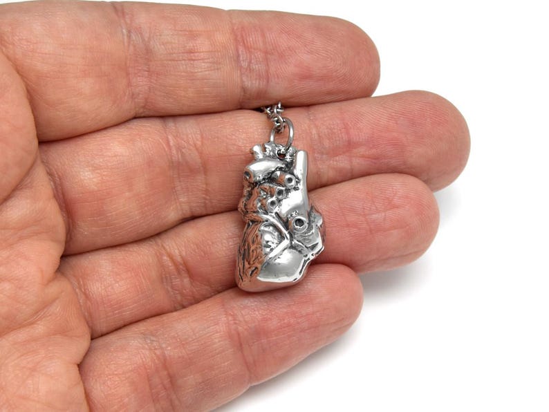 May include: A silver-colored anatomical heart pendant on a chain. The pendant is detailed with veins and chambers, and is held in a hand against a white background. The pendant is a unique piece of jewelry.