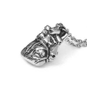 May include: A silver-colored anatomical heart pendant on a chain. The pendant is detailed with veins and arteries, and is suspended from a delicate chain. The background is plain white.