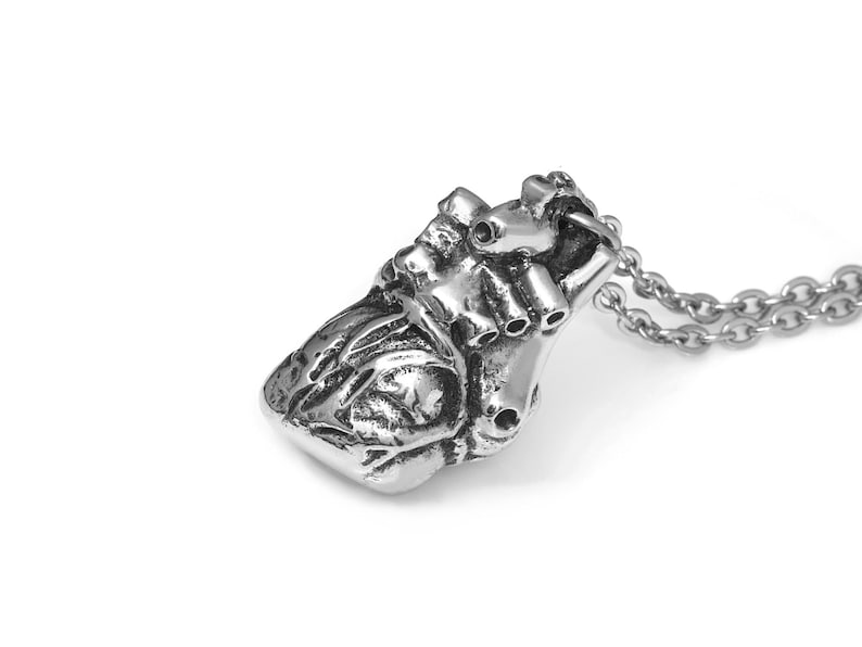 May include: A silver-colored anatomical heart pendant on a chain. The pendant is detailed with veins and arteries, and is suspended from a delicate chain. The background is plain white.