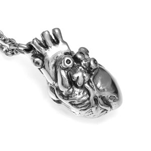 Op de afbeelding: Een zilveren ketting met een anatomisch hart als hanger. Het hart is gedetailleerd met realistische kenmerken, waaronder de aorta en de ventrikels.