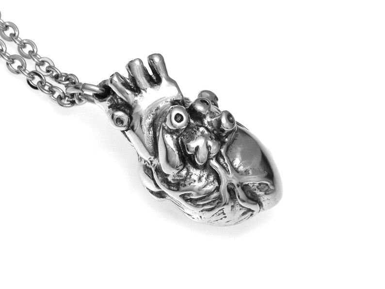 Op de afbeelding: Een zilveren ketting met een anatomisch hart als hanger. Het hart is gedetailleerd met realistische kenmerken, waaronder de aorta en de ventrikels.