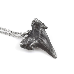 May include: A silver necklace featuring a detailed shark tooth pendant. The pendant is textured and has a realistic shape.