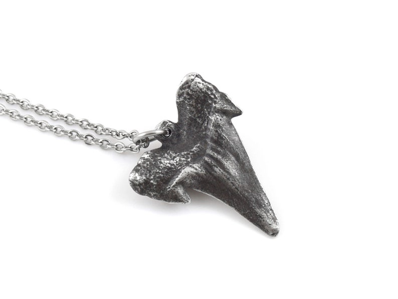 May include: A silver necklace featuring a detailed shark tooth pendant. The pendant is textured and has a realistic shape.