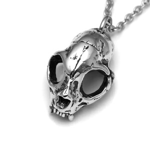 May include: A silver pendant necklace featuring a detailed skull design. The skull is stylized with a realistic look and has hollow eye sockets.