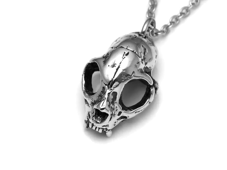 May include: A silver pendant necklace featuring a detailed skull design. The skull is stylized with a realistic look and has hollow eye sockets.