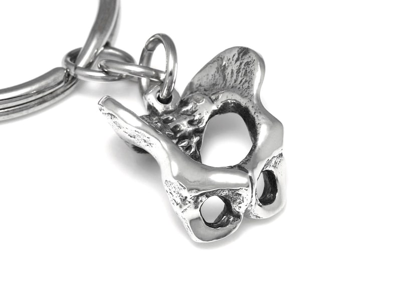 Pelvis Keychain Human Anatomy Pelvic Bone Keyring in Pewter Etsy