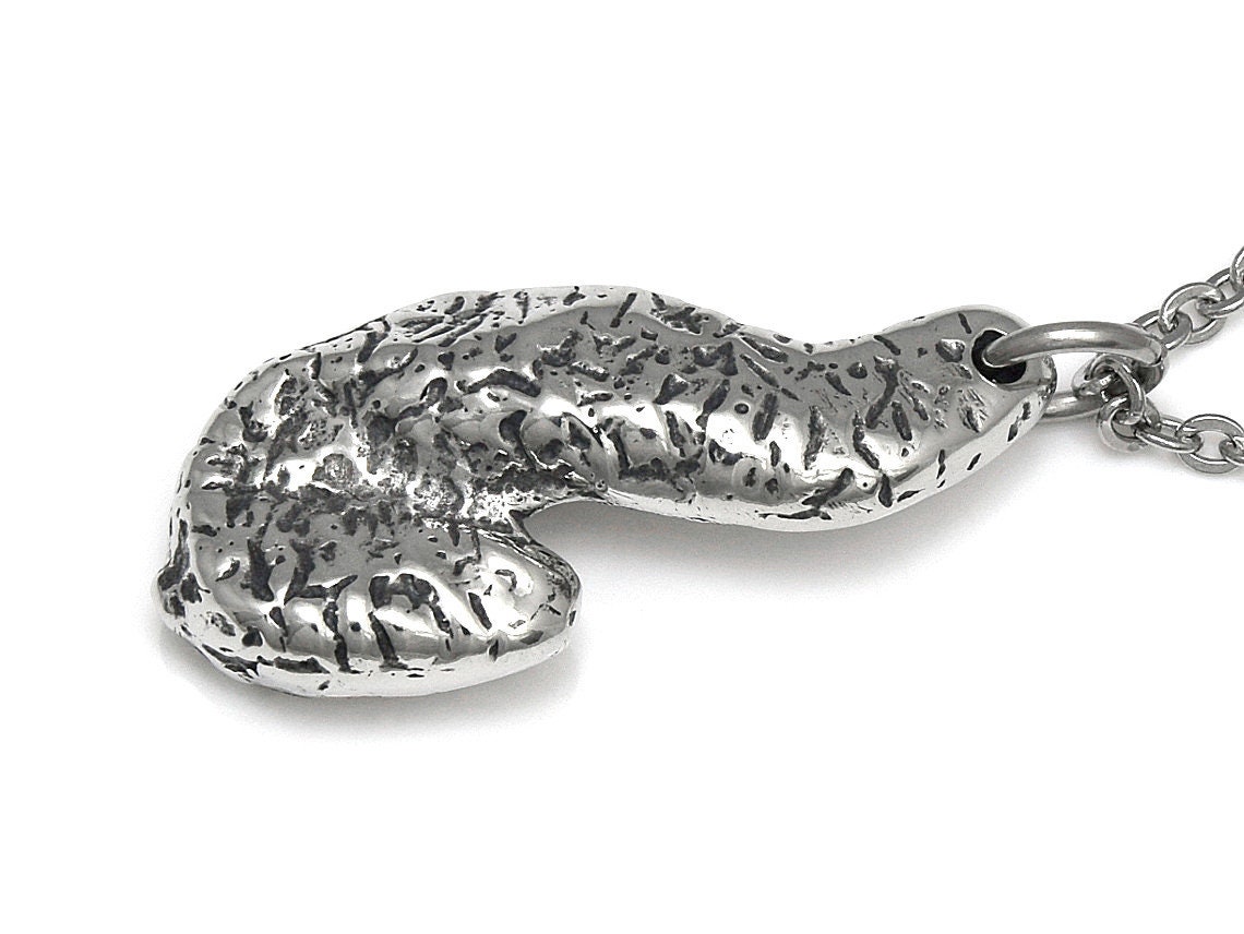 Anatomical Pancreas Necklace Digestive System Pendant - Etsy Sweden