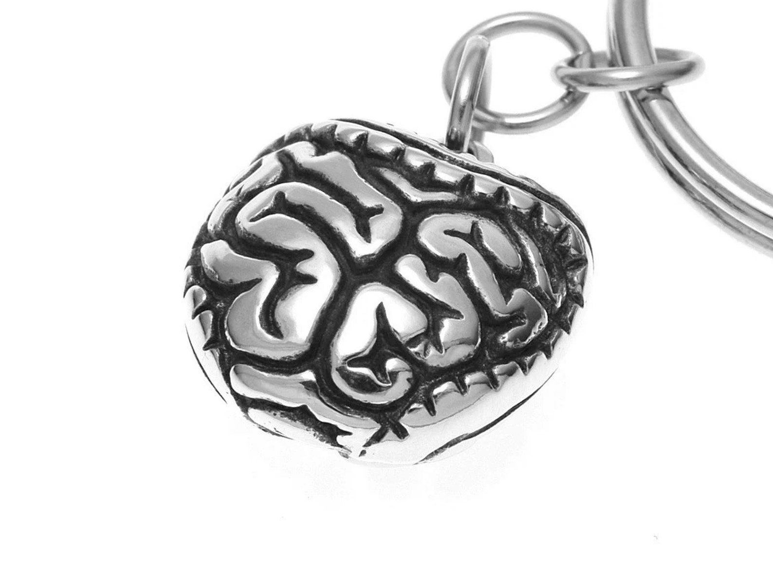 Digestive Key Ring Intestines Keychain, Digestive Keyring Anatomical Key Holder in Pewter ...