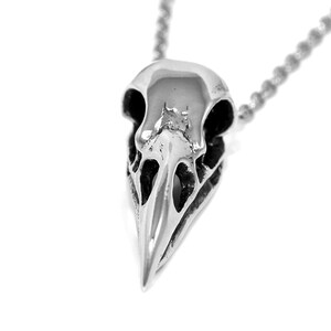 May include: A silver bird skull pendant necklace. The skull is detailed and realistic, with a sharp beak and hollow eye sockets.