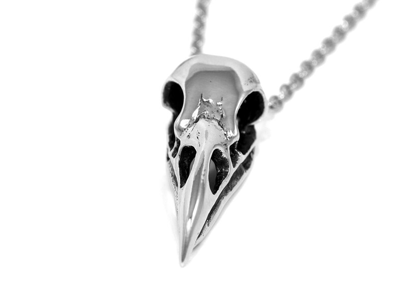 May include: A silver bird skull pendant necklace. The skull is detailed and realistic, with a sharp beak and hollow eye sockets.