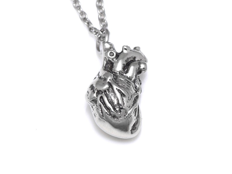 Small Anatomical Heart Necklace Cardiology Charm Anatomy Etsy
