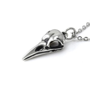 May include: A silver necklace featuring a detailed bird skull pendant. The pendant is crafted from metal and has a realistic design.