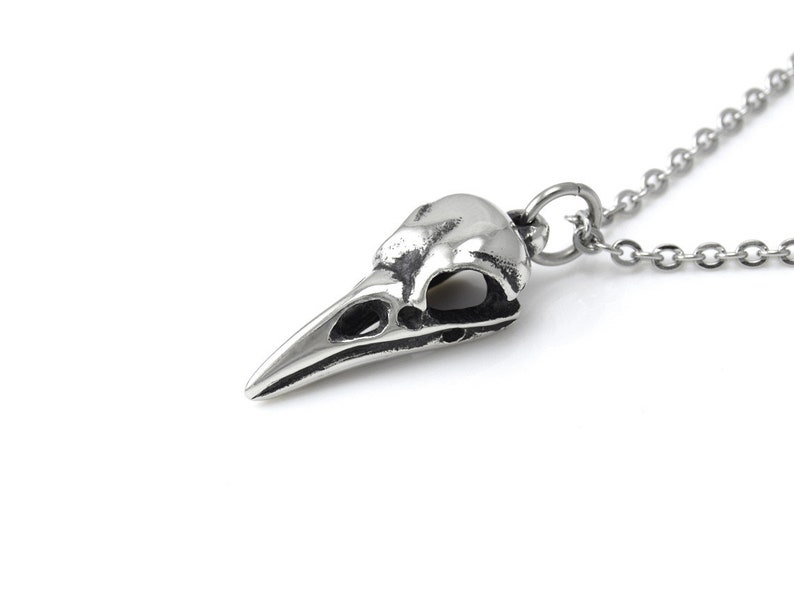 May include: A silver necklace featuring a detailed bird skull pendant. The pendant is crafted from metal and has a realistic design.