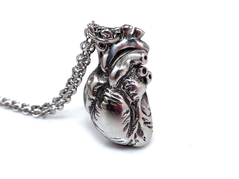 May include: A silver-colored pendant necklace featuring a detailed anatomical heart charm. The heart pendant is intricately sculpted, showcasing the veins and chambers of the organ. The necklace has a delicate chain and a lobster clasp.