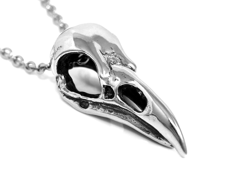 May include: A silver bird skull pendant necklace. The pendant is detailed and realistic, with a hollow eye socket and beak.