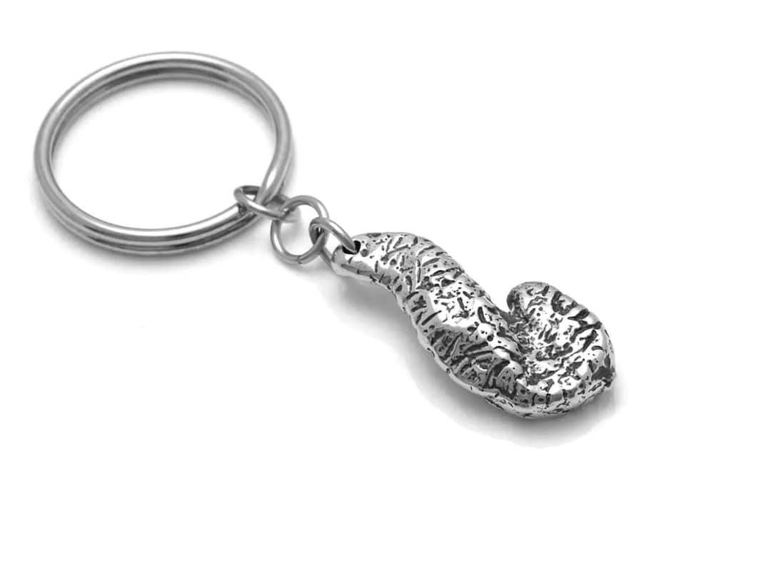 Handmade Pancreas Keychain, Pancreatic Key Ring, Diabetic Key Holder - Etsy