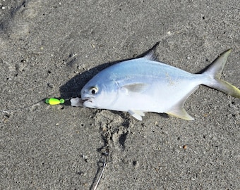 Pompano Rig "Lemon Twist" Whiting, Sheepshead, Bluefish, Catfish, Sharks  - Surf fishing