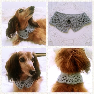 May include: A dachshund wearing a gray crocheted dog collar with a button. The collar has a lacy design.