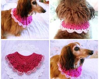 May include: A dachshund wearing a pink and white crocheted dog collar. The collar has a scalloped edge and is made with a delicate crochet stitch.