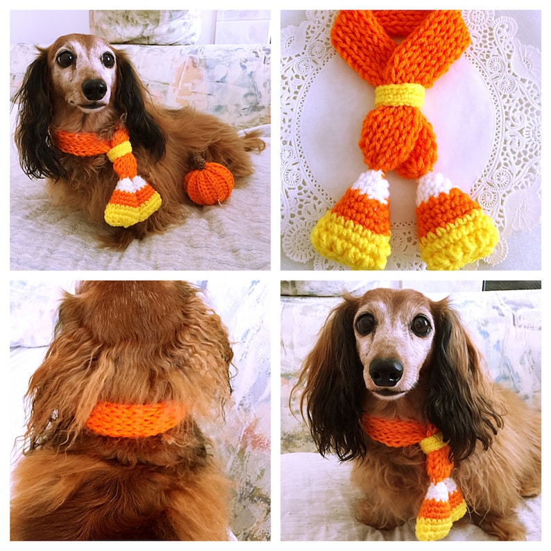 Dog Scarf Dog Collar Halloween Candy Corn Dog Bandana Etsy