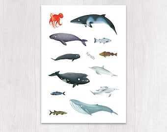 Sticker sheet with whales and fish 12 stickers environmentally friendly