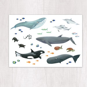 Postal de cumpleaños de animales ballenas impresa de forma climáticamente neutra imagen 1