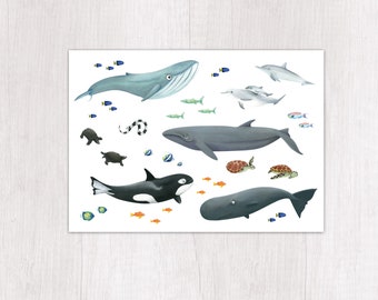 Postkarte Wale Tiere Geburtstag klimaneutral gedruckt