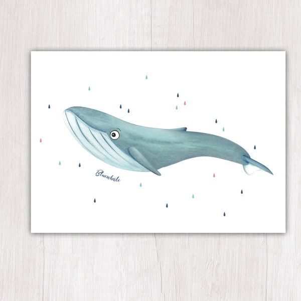 Postkarte Blauwal Tiere klimaneutral gedruckt