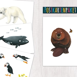 Ensemble de cartes postales Animals Canada Art imprimé de manière climatiquement neutre