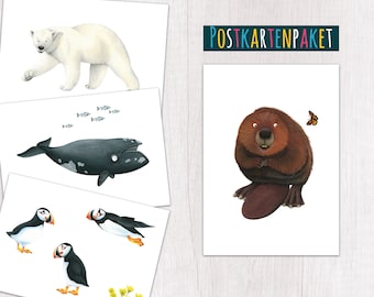 Postkartenset Tiere Kanada Kunst klimaneutral gedruckt