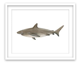 Original drawing Bronze Shark