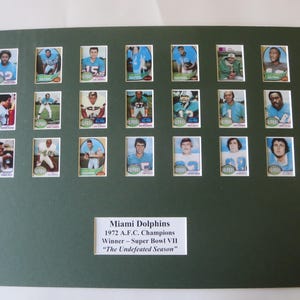 The Undefeated Season - Miami Dolphins angeführt von Coach Don Shula und Bob Griese und Larry Csonka - 1972 AFC Champs & Super Bowl VII Champs
