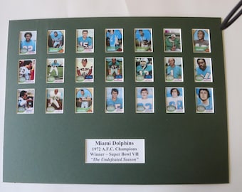 The Undefeated Season - Miami Dolphins led by Coach Don Shula and  Bob Griese and Larry Csonka - 1972 AFC Champions & Super Bowl VII Champs