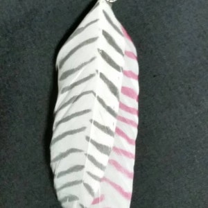 A pair of earrings work a pink and white striped feather and a gray and white striped feather