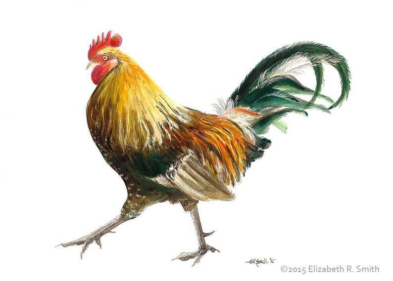 Strutting Rooster Scratchboard Print Etsy