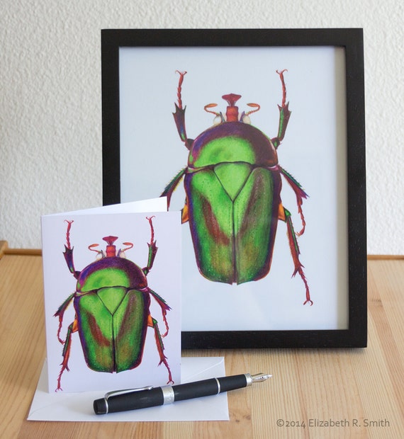 Scarabee Aux Crayons De Couleurs 8 X 10 Impression Etsy