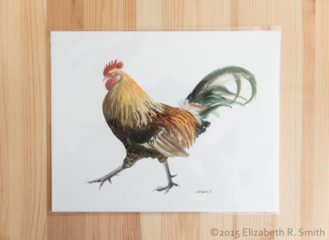 Strutting Rooster Scratchboard Print Etsy
