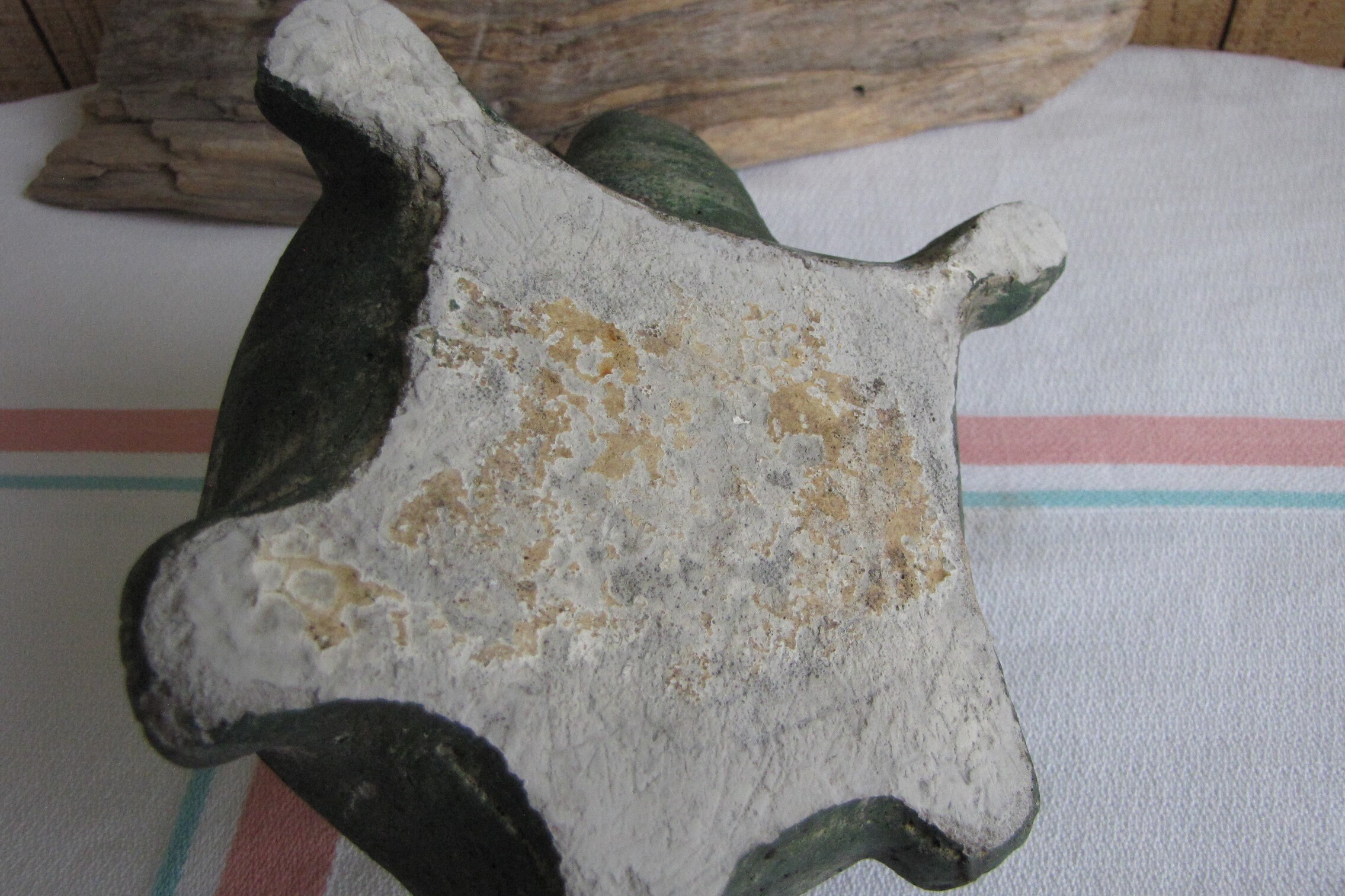 Vintage Cement Turtle Yard Art and Decor