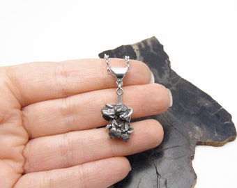 Big Meteorite Necklace in Sterling Silver - Campo del Cielo Meteorite Pendant with Chain