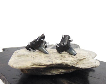Tiny Fossil Shark Tooth Earrings in Sterling Silver - Lemon Shark Stud Stud Earrings - Fossil Jewelry