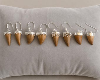Mosasaur Tooth Earrings in Sterling Silver - Dinosaur Teeth Dangle Earrings - Ancient Marine Reptile - Fossil Jewelry - Mosasaurus
