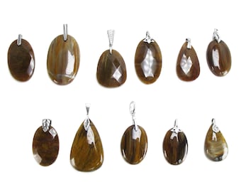 Petrified Wood Necklace in Sterling Silver - Fossil Jewelry - Pendant